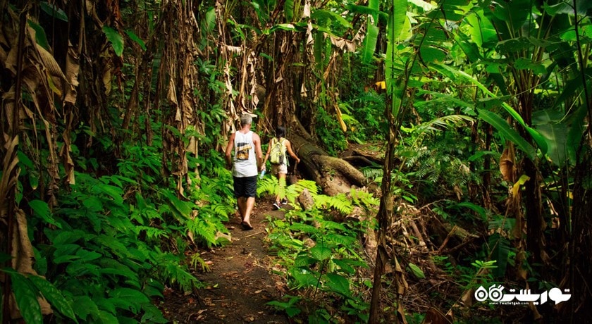 سرگرمی پارک ملی کا پرا تائو شهر تایلند کشور پوکت