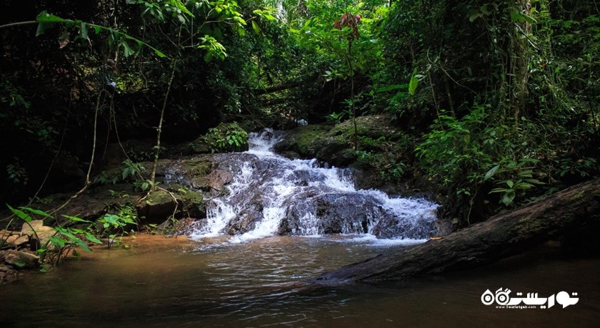 سرگرمی پارک ملی کا پرا تائو شهر تایلند کشور پوکت