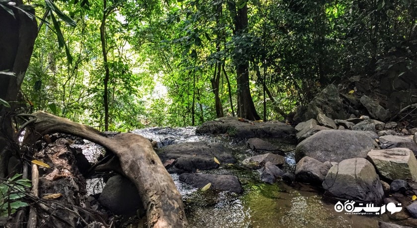 سرگرمی پارک ملی کا پرا تائو شهر تایلند کشور پوکت