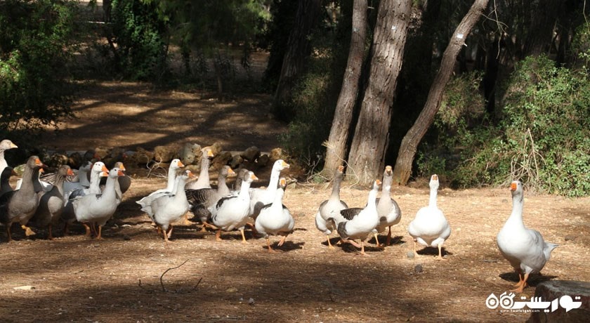  آبشار کورسونلو شهر ترکیه کشور آنتالیا