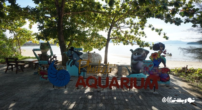 سرگرمی آکواریوم پوکت شهر تایلند کشور پوکت