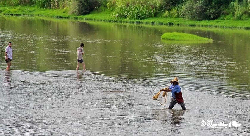 سفید رود -  شهر رودبار