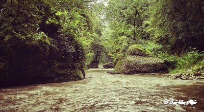  جنگل و آبشار پلنگ دره شهرستان مازندران استان شیرگاه