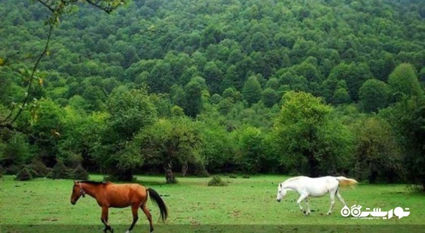 روستای الیمستان -  شهر مازندران