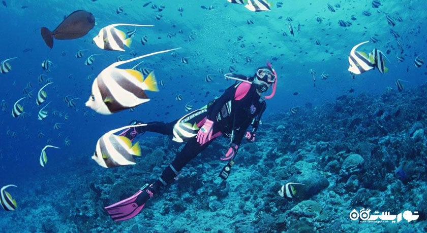سرگرمی غواصی در دریای مدیترانه شهر ترکیه کشور آنتالیا