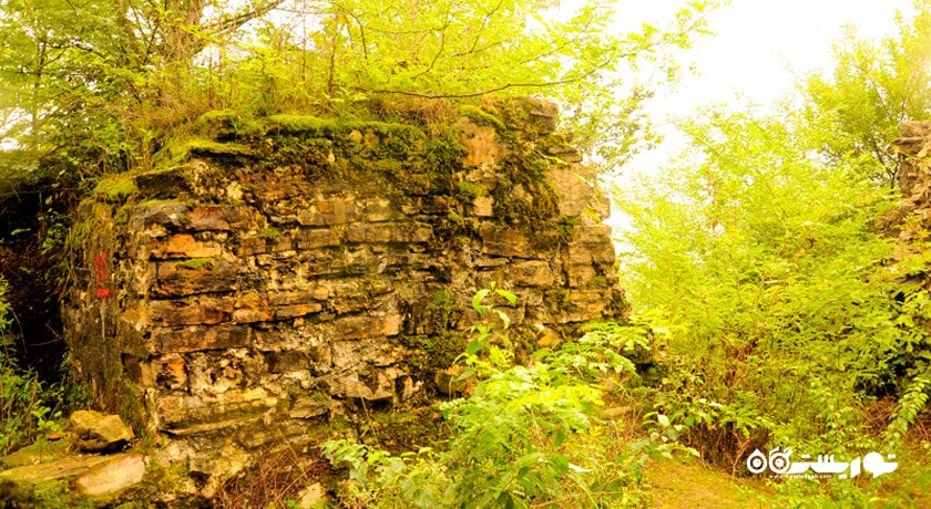 جنگل های سیاهکل -  شهر سیاهکل	