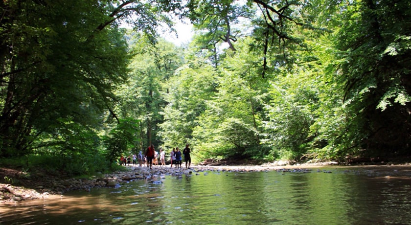  شیرگاه شهرستان مازندران استان شیرگاه