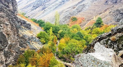  روستای آهار شهرستان تهران استان اوشان، فشم و میگون