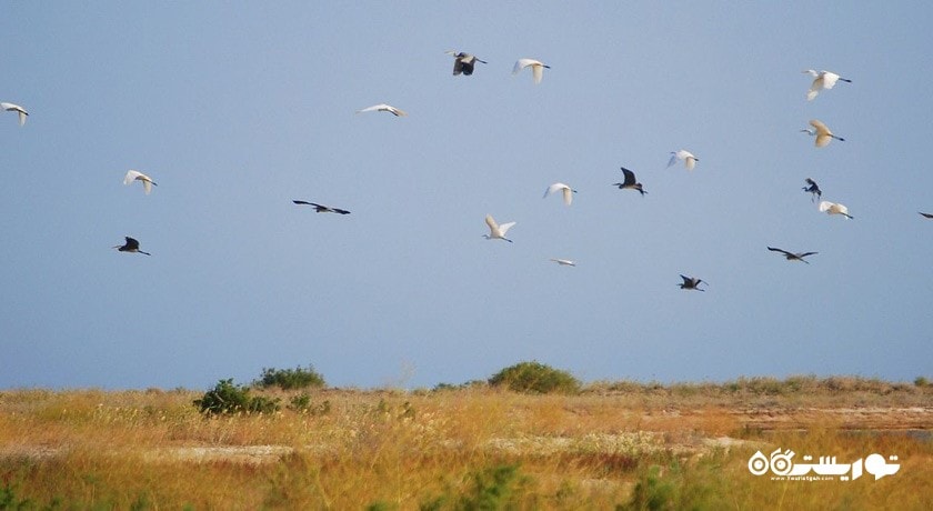 سرگرمی پارک ملی آبشوران شهر آذربایجان کشور باکو