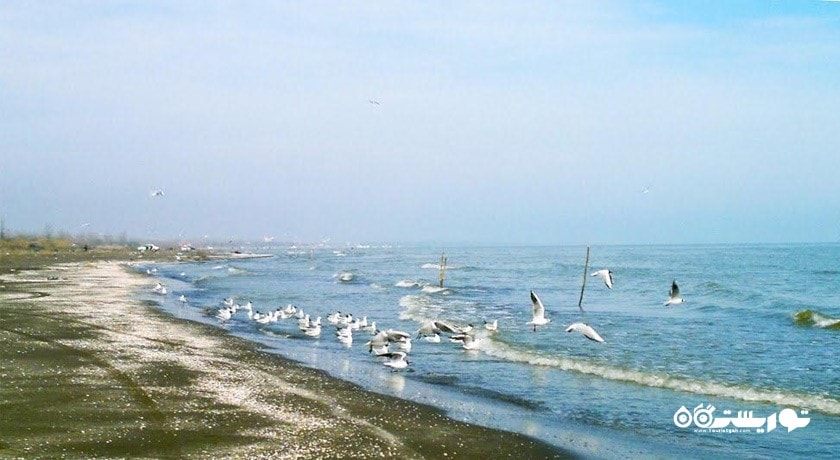  رودسر شهرستان گیلان استان رودسر	