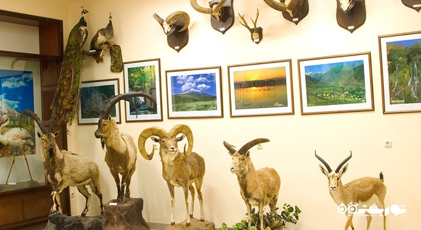  موزه دولتی طبیعی ایروان شهر ارمنستان کشور ایروان