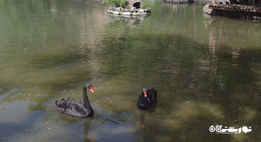 باغ وحش ایروان -  شهر ایروان