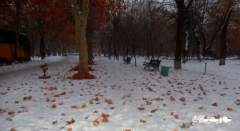 سرگرمی پارک انگلیسی شهر ارمنستان کشور ایروان
