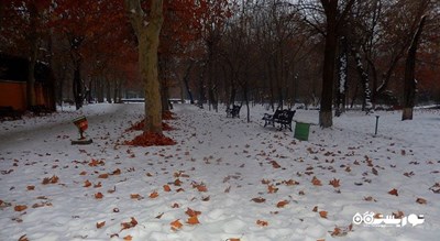 پارک انگلیسی -  شهر ایروان