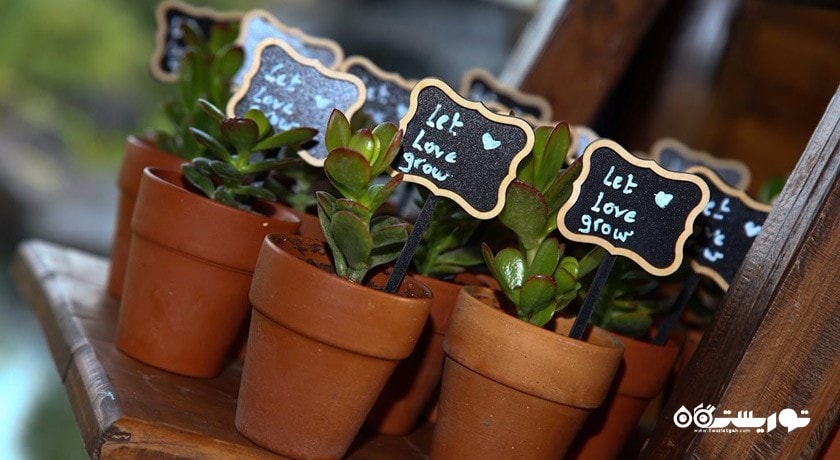 رستوران رستوران سیرانی گاردن شهر ایروان 