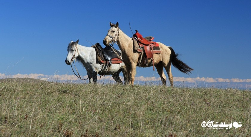 سوار کاری در ایروان -  شهر ایروان