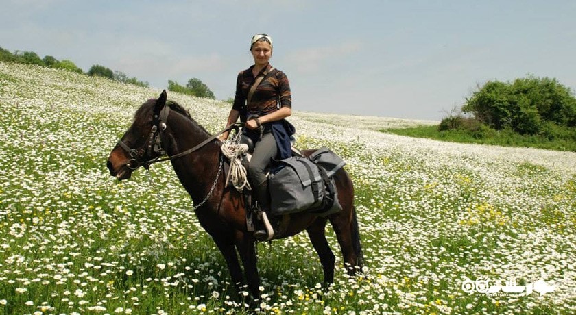 سرگرمی سوار کاری در ایروان شهر ارمنستان کشور ایروان