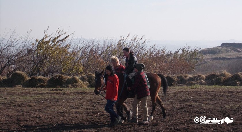 سرگرمی سوار کاری در ایروان شهر ارمنستان کشور ایروان