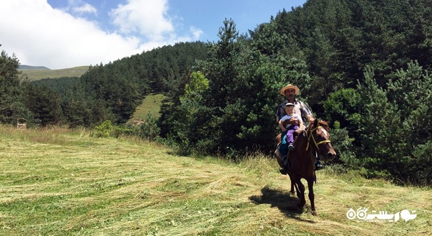 سرگرمی سوار کاری در ایروان شهر ارمنستان کشور ایروان