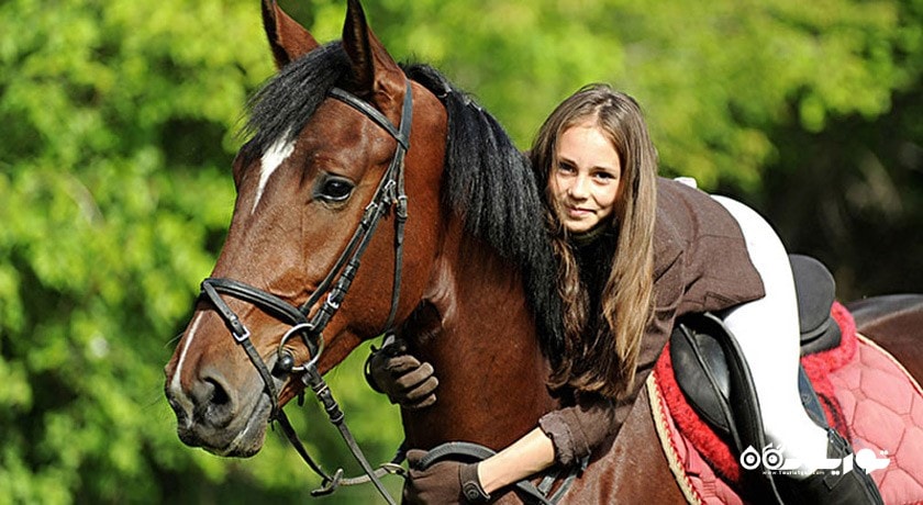 سرگرمی سوار کاری در ایروان شهر ارمنستان کشور ایروان