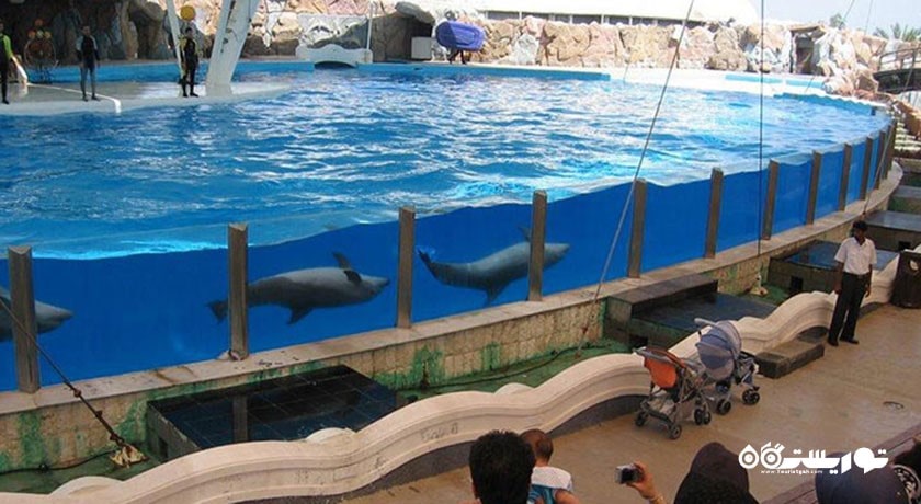  پارک دلفین کیش شهرستان هرمزگان استان کیش