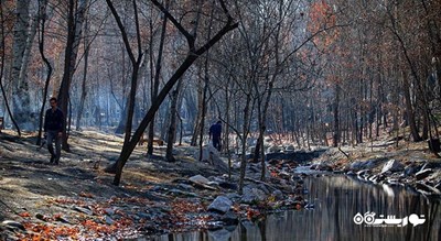 پارک جنگلی وکیل آباد  -  شهر مشهد