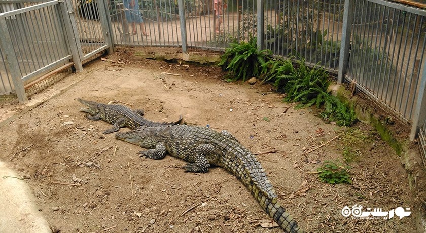 سرگرمی پارک حیات وحش ساسالی - چیگلی شهر ترکیه کشور ازمیر