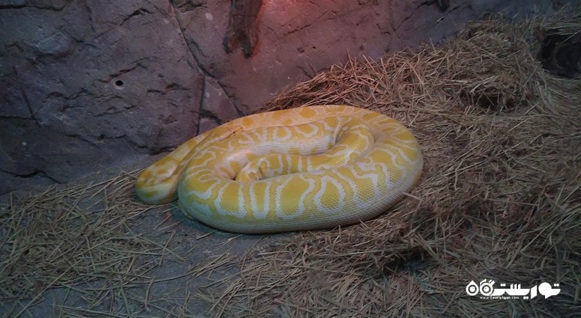 سرگرمی پارک حیات وحش ساسالی - چیگلی شهر ترکیه کشور ازمیر