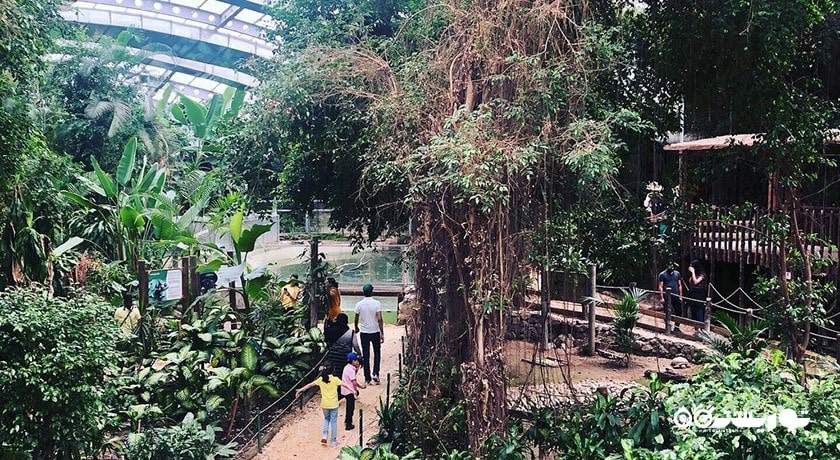 سرگرمی پارک حیات وحش ساسالی - چیگلی شهر ترکیه کشور ازمیر