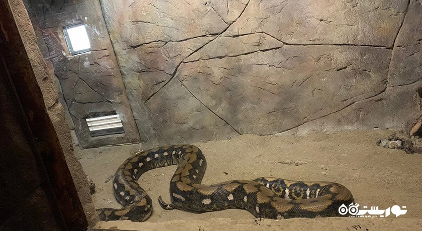 سرگرمی پارک حیات وحش ساسالی - چیگلی شهر ترکیه کشور ازمیر