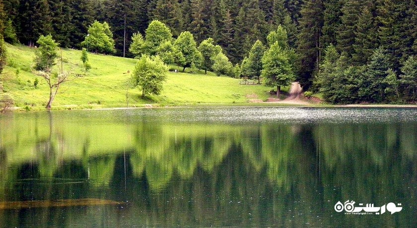 سرگرمی سواحل فوچا شهر ترکیه کشور ازمیر