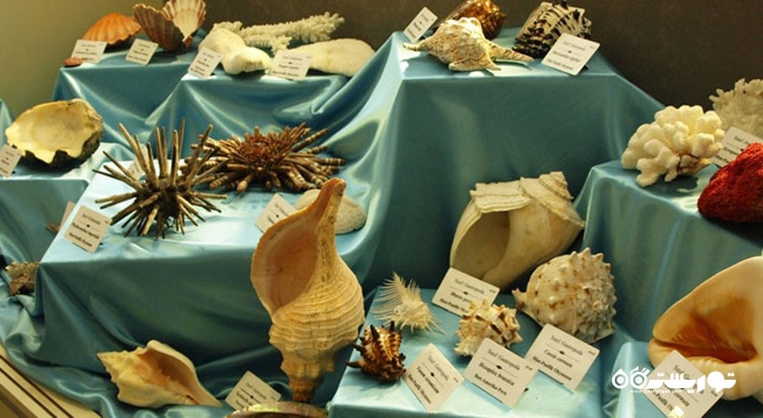  موزه تاریخ طبیعی دانشگاه اژه شهر ترکیه کشور ازمیر