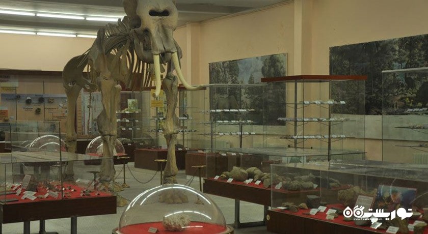  موزه تاریخ طبیعی دانشگاه اژه شهر ترکیه کشور ازمیر