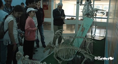 موزه تاریخ طبیعی دانشگاه اژه -  شهر ازمیر
