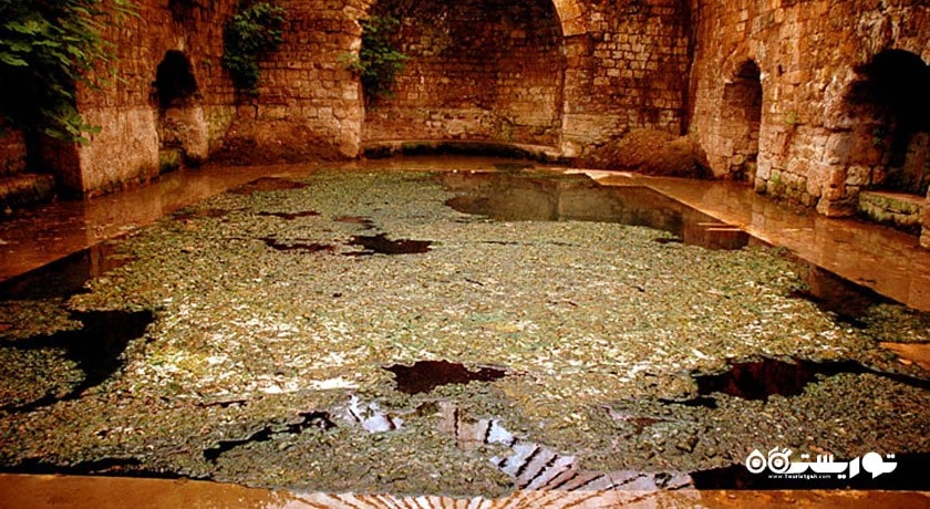  آلیانوی شهر ترکیه کشور ازمیر