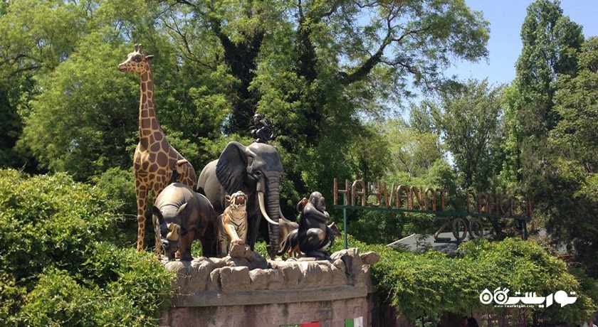 سرگرمی باغ وحش و مزرعه جنگلی آتاتورک شهر ترکیه کشور آنکارا