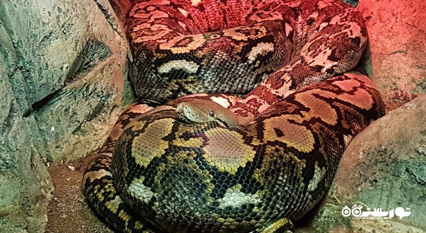 سرگرمی آکواریوم آکوا وگا شهر ترکیه کشور آنکارا