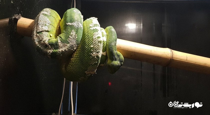 آکواریوم آکوا وگا -  شهر آنکارا