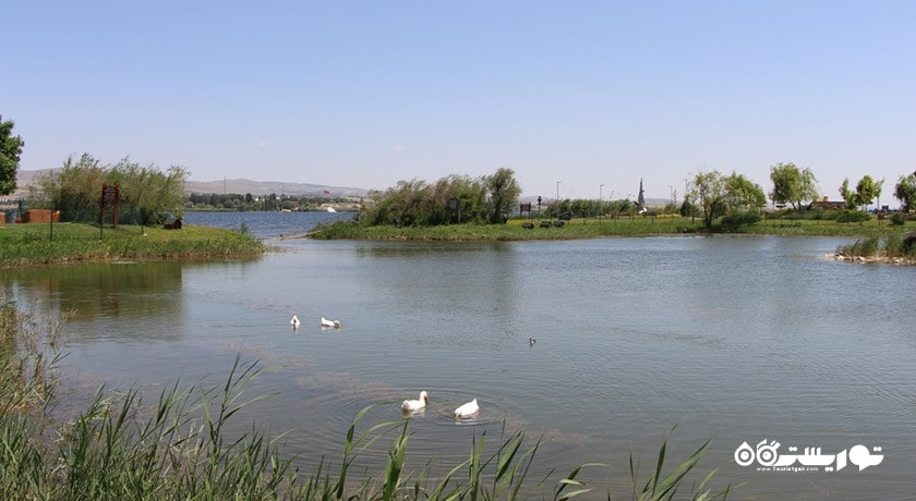 سرگرمی دریاچه موگان شهر ترکیه کشور آنکارا
