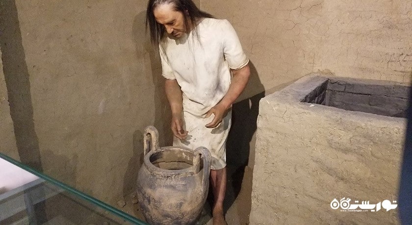  موزه تاریخ طبیعی شهر ترکیه کشور آنکارا