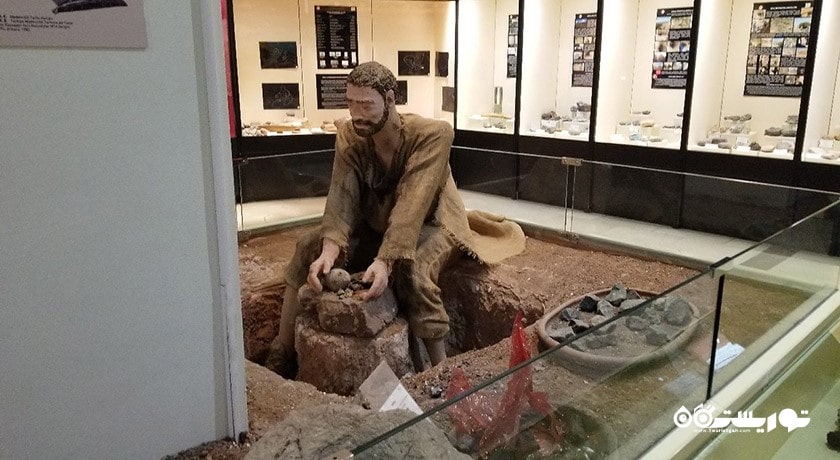  موزه تاریخ طبیعی شهر ترکیه کشور آنکارا