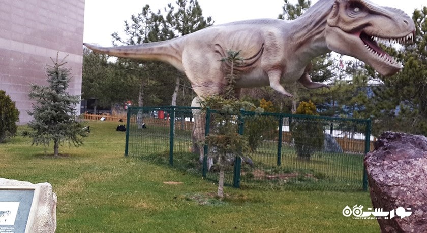  موزه تاریخ طبیعی شهر ترکیه کشور آنکارا