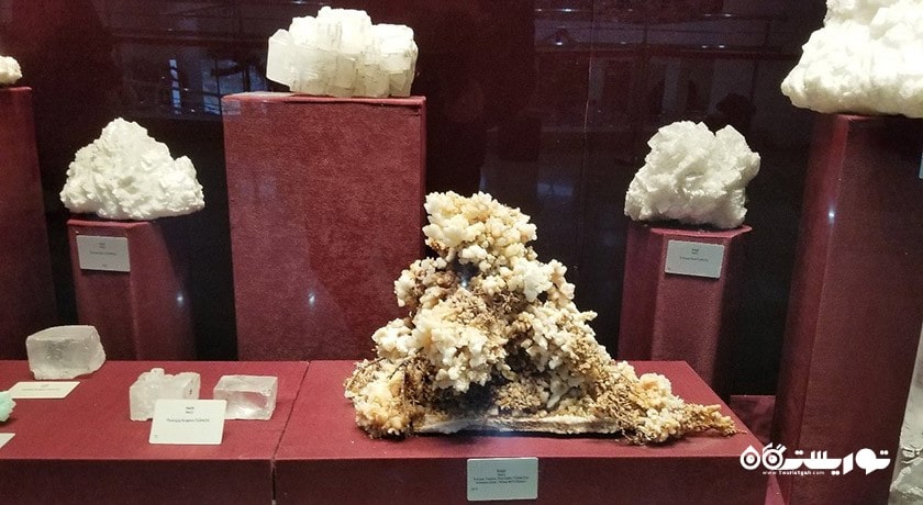  موزه تاریخ طبیعی شهر ترکیه کشور آنکارا