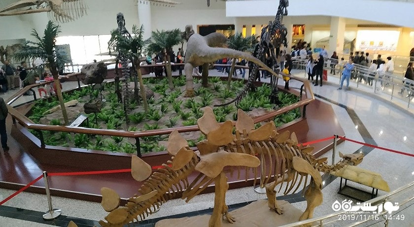  موزه تاریخ طبیعی شهر ترکیه کشور آنکارا