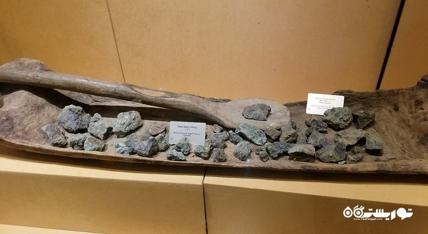  موزه تاریخ طبیعی شهر ترکیه کشور آنکارا