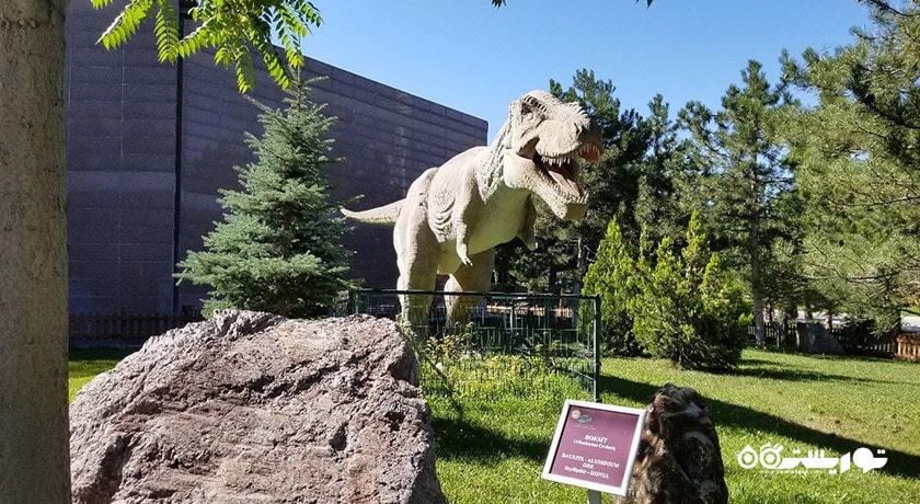  موزه تاریخ طبیعی شهر ترکیه کشور آنکارا