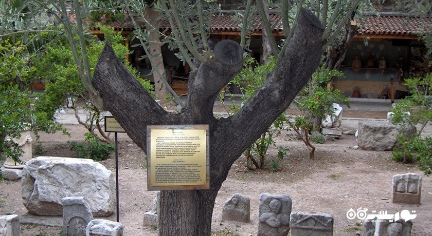  موزه باستان شناسی زیر آب شهر ترکیه کشور بدروم