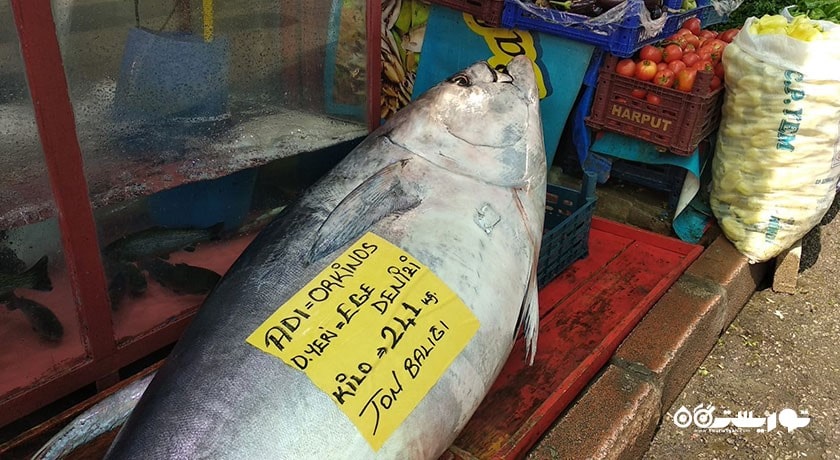 سرگرمی ماهیگیری در دریای اژه  شهر ترکیه کشور بدروم