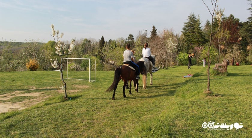 سرگرمی اسب سواری در بدروم شهر ترکیه کشور بدروم