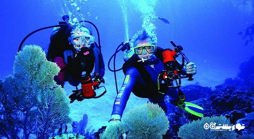 سرگرمی غواصی در بدروم شهر ترکیه کشور بدروم